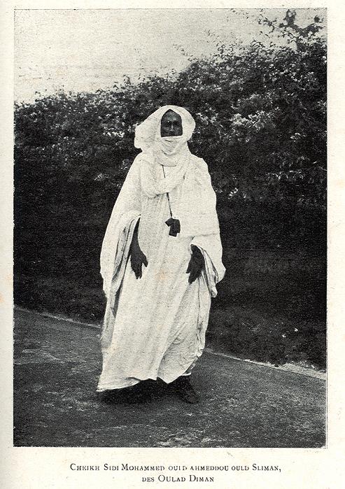 الشيخ سيدي محمد ولد الشيخ أحمدو